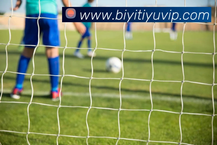 必一体育APP 封面图